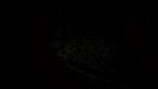 alice_allens webcam