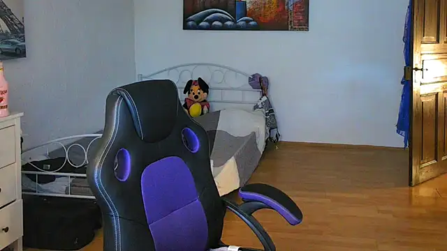 Sylly webcam