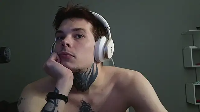 DENIS_HERE webcam