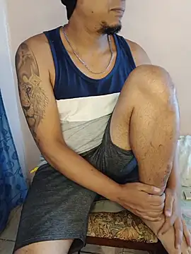Stevin-gre6 webcam