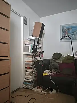briochin webcam