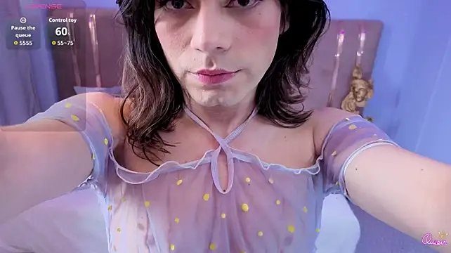 SALOME_F0X_ webcam
