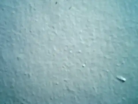 lysaCumshow webcam
