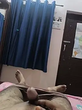 Desi_bull_XL