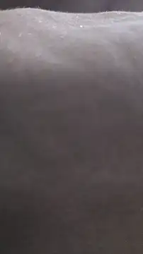 shinispatitas live cam preview