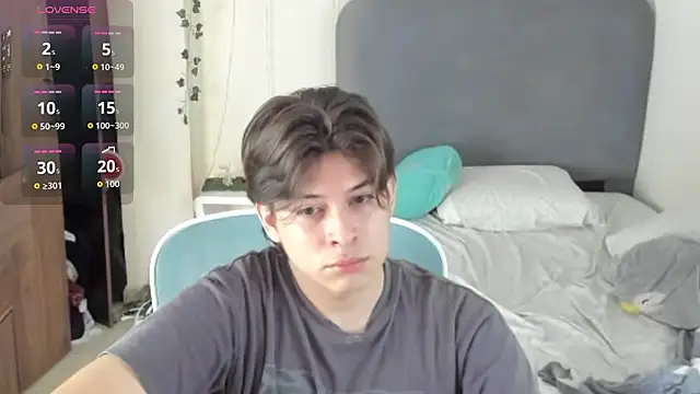 FelixSoft