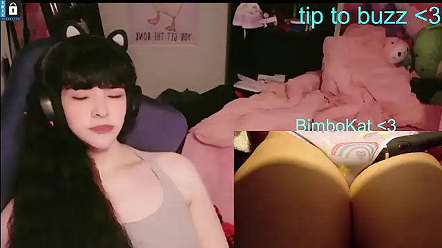 BimboCat webcam