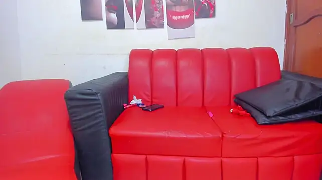 Extreme_Team8 webcam