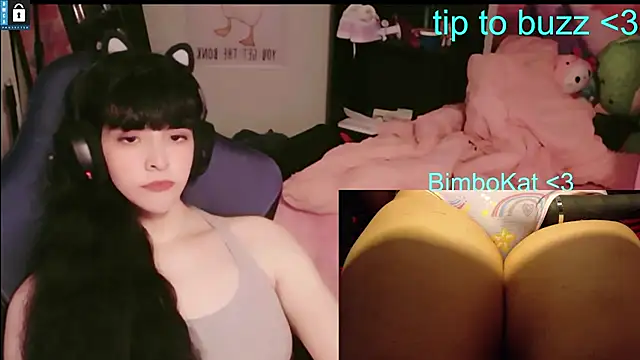 BimboCat live cam