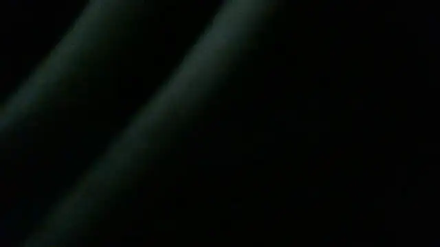 NuttyProfesir