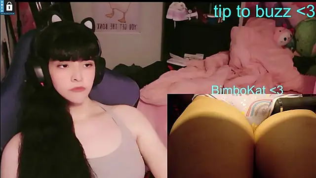 BimboCat webcam