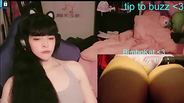 BimboCat's room