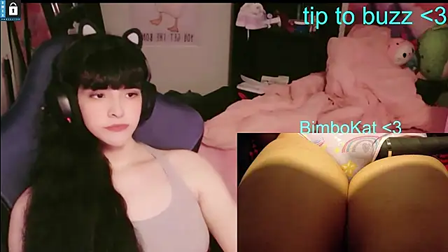 BimboCat