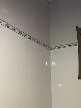 linhfag webcam