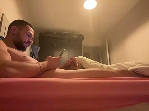 Lebarbu69020 webcam