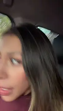 Palmer__