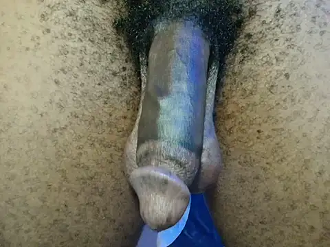 dick_herr7 webcam