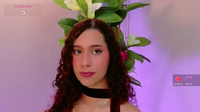 Sophie-Waldorf webcam