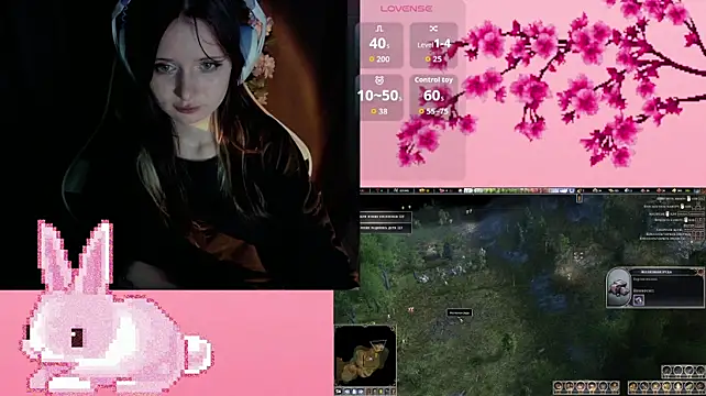 AmiMinie webcam