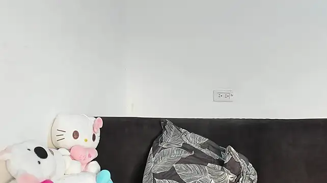 Eirlysx webcam