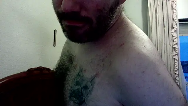 spartan24cm webcam