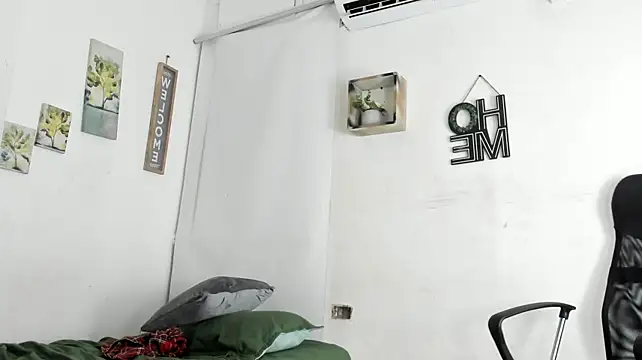 salome_sodi webcam