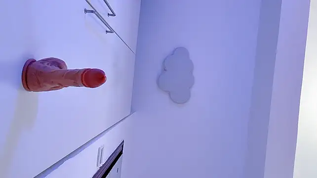 Amei-bb webcam