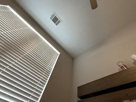 theonefayour webcam