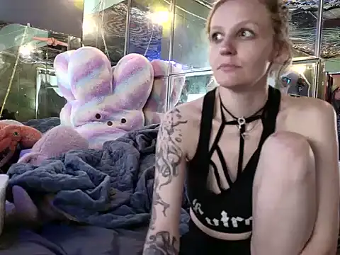 meateater74553 webcam