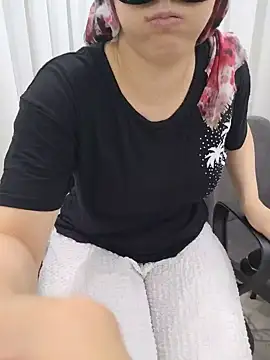 Modelgizem02 webcam