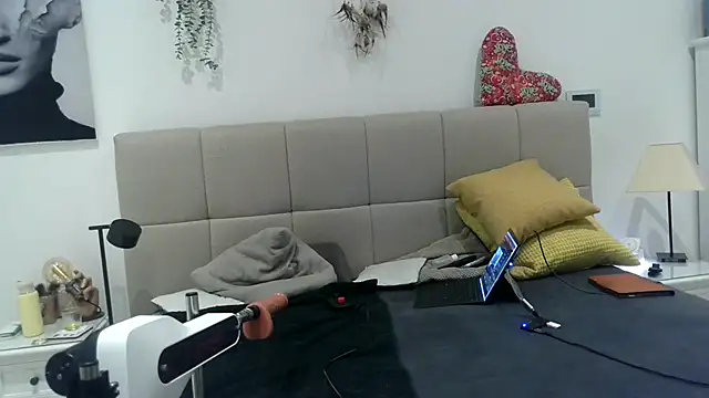 Inside4U webcam