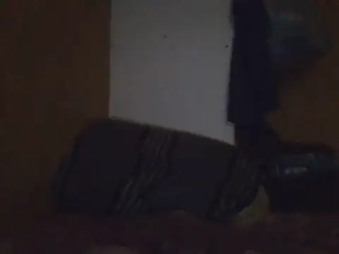 Incognito2202 webcam