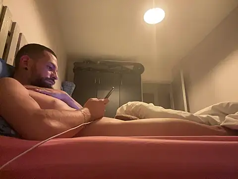 Lebarbu69020 webcam