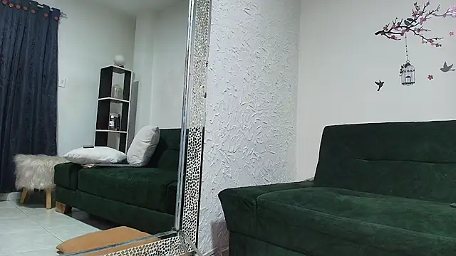 _Ana_Car webcam