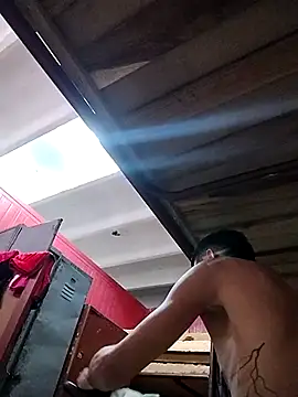 LaRous webcam