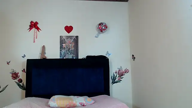 ANDRYXS100 webcam