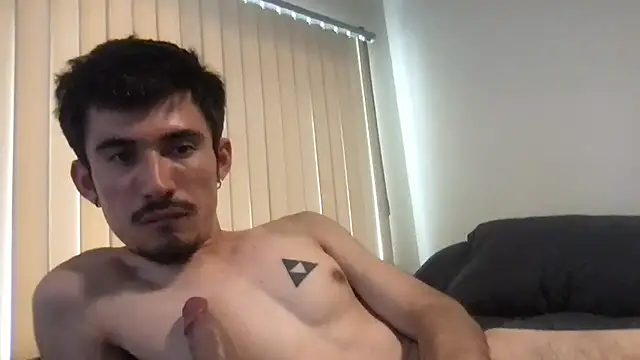 salvibaytwink