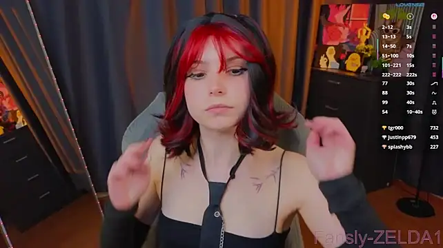 zelda_1 webcam