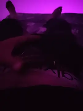HARDDICC98