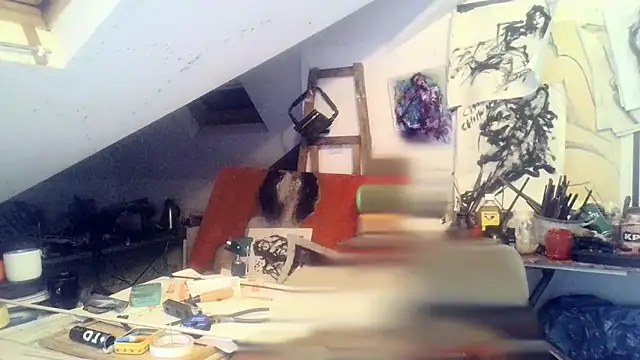 mista_sista_fista webcam