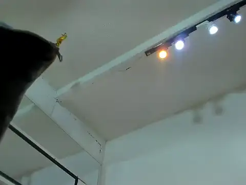 Tafari_Zulu1