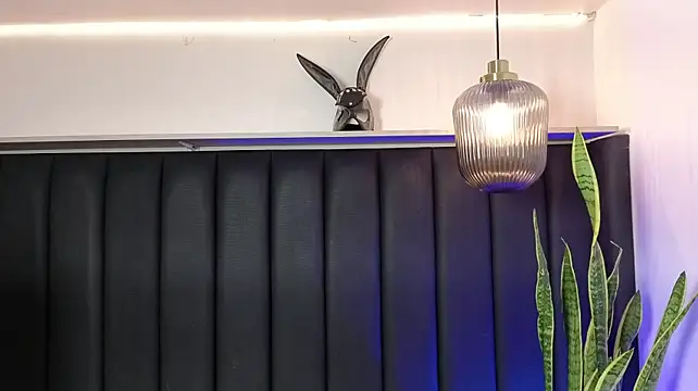 Isa_dumont webcam