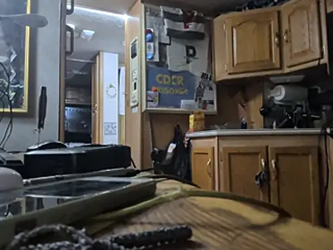 Tattoogonewild webcam
