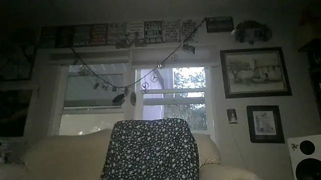 Teasenpleasety