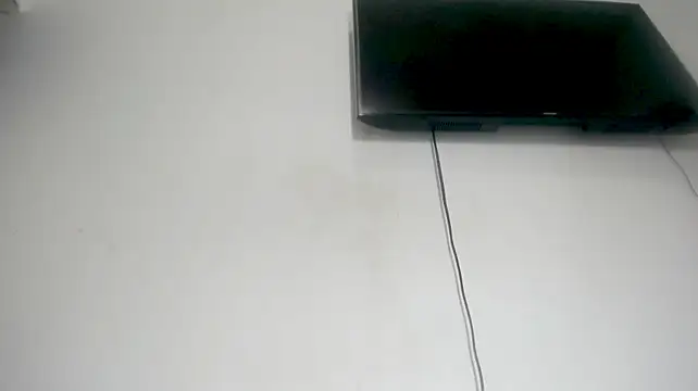 Fox_Loves