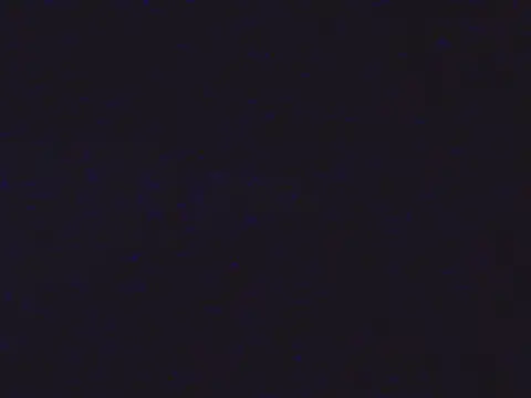Iceybunny_