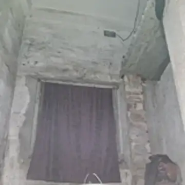 Misti_1