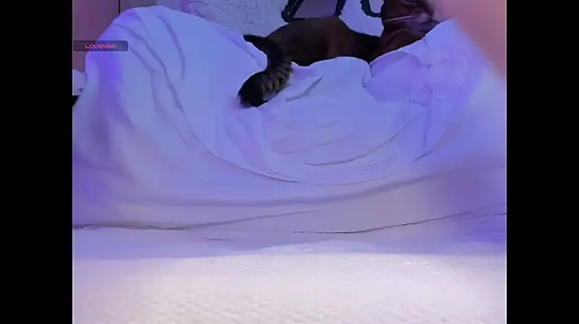 ElunorLIve