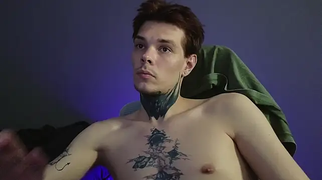 DENIS_HERE webcam