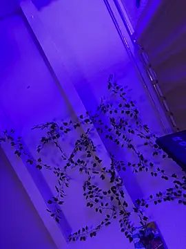 Baby_bansheee